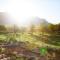 Vineyard Views Country House