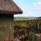 Harmony Luxury Tents & Safari - Addo