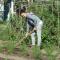 Il CASALE NELLA TUSCIA. BIOFARM. Casa nel Giardino