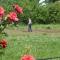 Il CASALE NELLA TUSCIA. BIOFARM. Casa nel Giardino