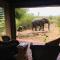 Impodimo Game Lodge - Madikwe Game Reserve