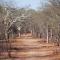Adansonia Eco Lodge