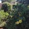 Hamba Kancane Ma-Africa Guest House