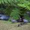 Warburton Holiday Park