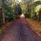 Daintree Manor B&B