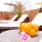 Riad Mariana Riad Mariana