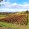 Cascina tra i vigneti a Nizza Monferrato