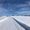 Geilo Superior leilighet