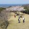 Midori Guesthouse&Hostel