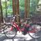 Midori Guesthouse&Hostel
