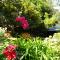 Agaseke Lodge Boquete