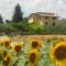 Agriturismo Il Girasole Assisi