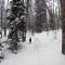 CC301 Cross Creek