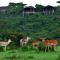 Saruni Eagle View