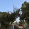Jheelam Homestay