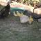 Corella Creek Country Farm Stay