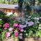Moruya Motel