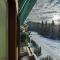 Timber view apartment Silver Mountain Poiana Brasov