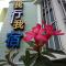 Wo Xing Wo Su - Hengchun Old Town