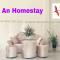 Foto: An homestay 42/51