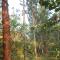 Saltek Forest Cottages