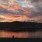 Los Naranjos By Silastur