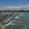 The Ocean Breeze CBD