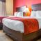 Comfort Suites Rock Hill Manchester Meadows Area