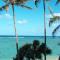 Stunning Ocean Views Condos in Oahu at Punaluu - Hauula