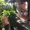 Villa Rose Caraibes