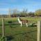 chambre coin nature photo 17