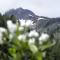 Hotel Garni Wieshof