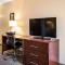 Comfort Inn & Suites Niagara Falls Blvd USA