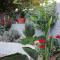 Dimitris' & Valentina's Home - Plakias