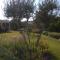 Villa Garden