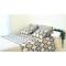 Le Suite Studio 491
