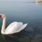 Sweet&Center Wellness apartman