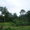 Tara Resort