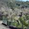 La terra dei ciliegi tra l’Etna e il mare di Taormina
