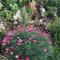 De Daisy Villa Homestay De Daisy Villa Homestay