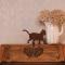Les Chambres du Chat