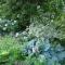 Il Giardino Dell’Artemisia