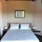 Domus 7