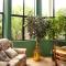 Hamilton East Homestay