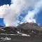 L’Agrifoglio Dell’Etna