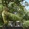 Casa turtle Bogue