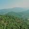 Wood Stock Kasauli - Rooms & Cottages - Panoramic View & Balcony Rooms