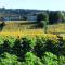 Podere Casenove