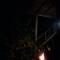 Dambulla Tree House