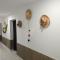 cactus city hostel confort